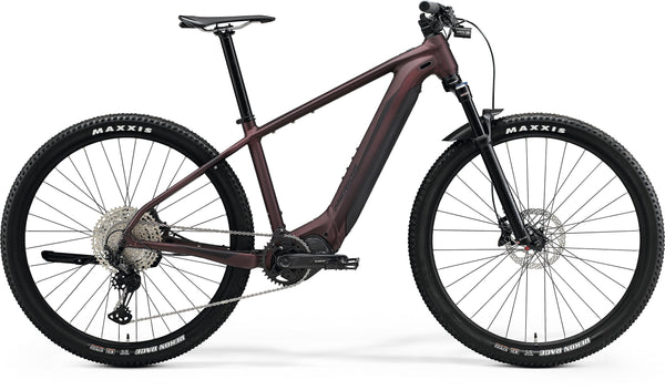 TRAIL E-BIKES