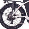 FOO F1 Folding Electric Bike, 250W E-Bike, 48V 13Ah 624Wh Battery