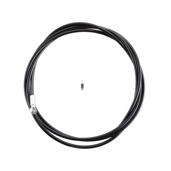 Campagnolo Hydraulic Hose - Papanui Cycles