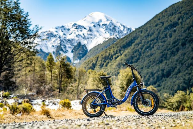 2025 WATT WHEELS SCOUT LOW STEP