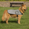 Proviz Reflect360 Dog Jacket - Use