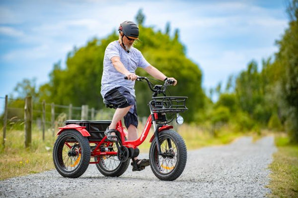 WATT WHEELS E-TRIKE LS XT MID DRIVE -Nov 2023 ETA