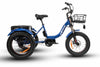 WATT WHEELS E-TRIKE LS XT MID DRIVE -Nov 2023 ETA