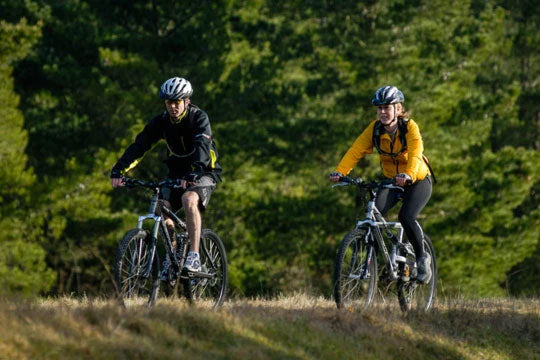 North Island Cycle Trails