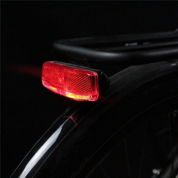 Rear Lights