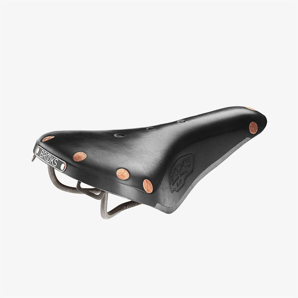 B17 Special Titanium Leather Saddle