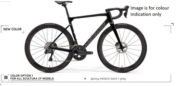 2025 SCULTURA 8000 Papanui Cycles