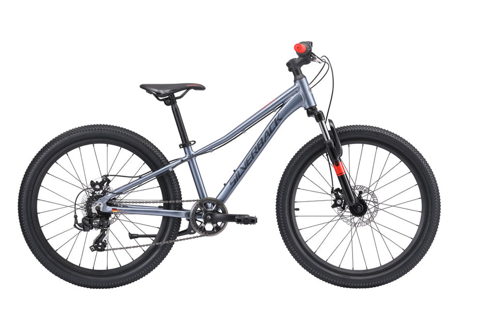 2025 SILVERBACK SPYKE 24" D BOY - Papanui Cycles