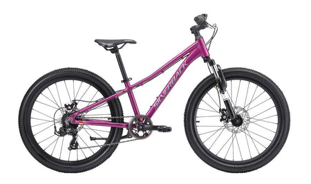 2025 SILVERBACK SPYKE 24" D GIRL - Papanui Cycles