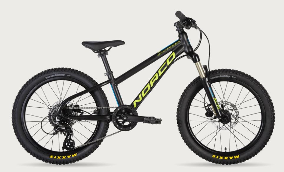 22 CHARGER 20 - Papanui Cycles