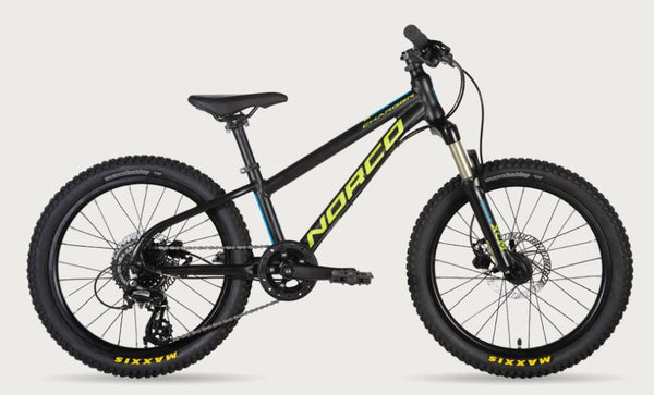 22 CHARGER 20 - Papanui Cycles