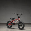 22 ROASTER 12" - Papanui Cycles