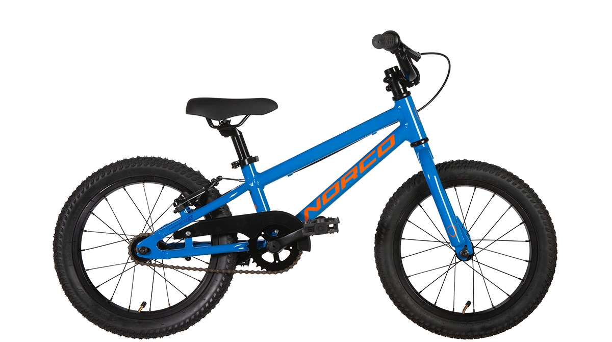 23 COASTER 16" BLUE - Papanui Cycles