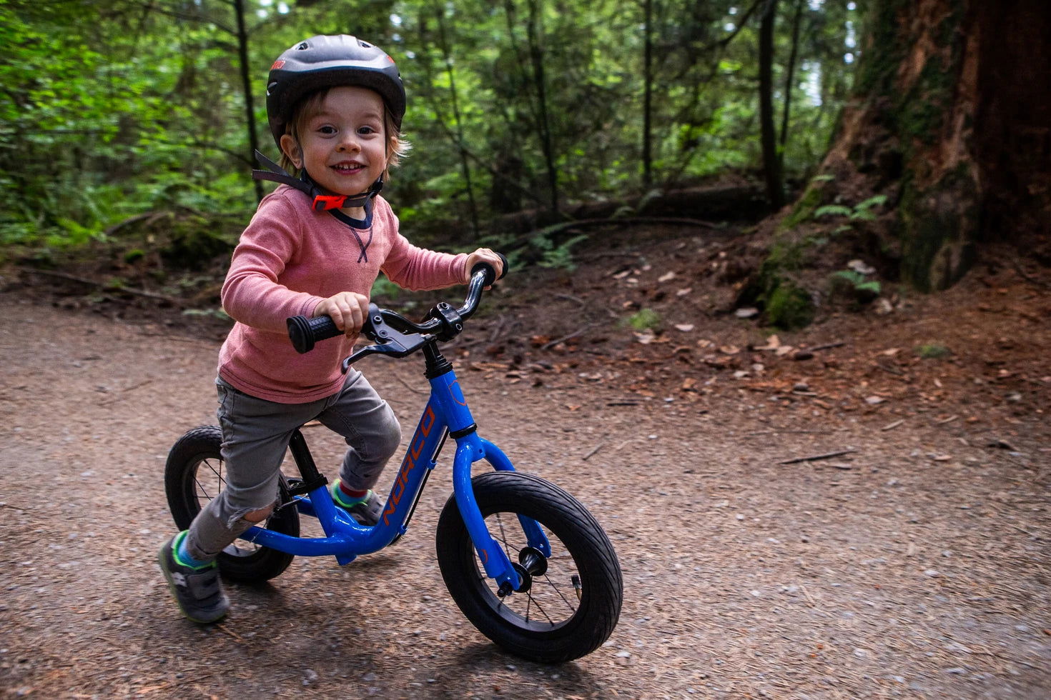 23 RUNNER 12 - Papanui Cycles