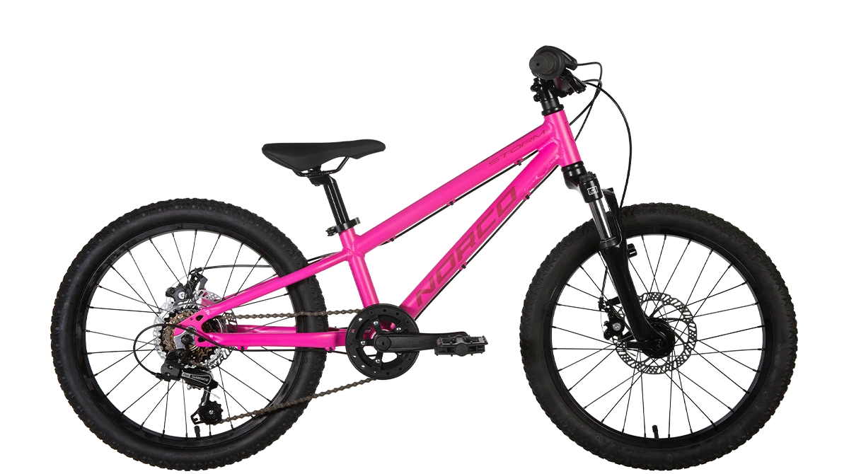 23 STORM 2.1 20" - Papanui Cycles