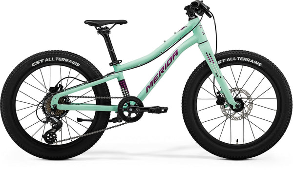 24 MATTS J20 + - Papanui Cycles