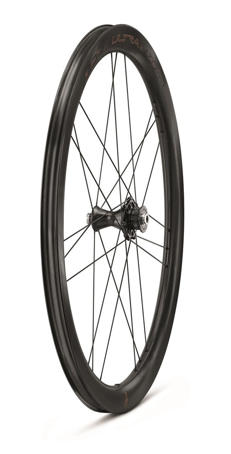 BoraUltra-WTO-45-DB-2WF-C23-antTRE4-2024
