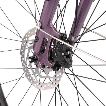 Bombtrack Munroe Loop Metallic Purple 9