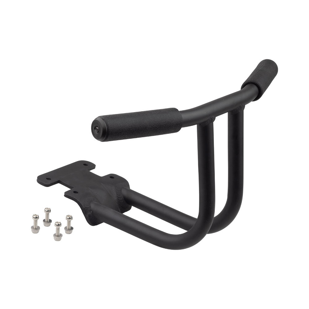 Surly Kid Corral for Big Dummy 
