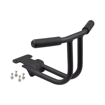 Surly Kid Corral for Big Dummy 
