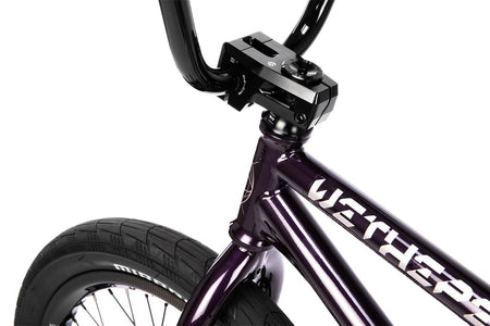 6a43dbcab14d431e470a55c5_Wethepeople_ENVY CARBONIC