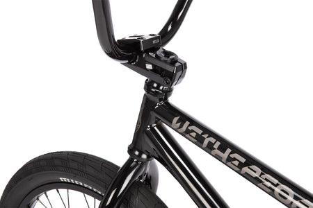 6a44f4375a5e5bd659b34f66_Wethepeople_ENVY RSD_blac