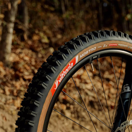 mostro-trail-07