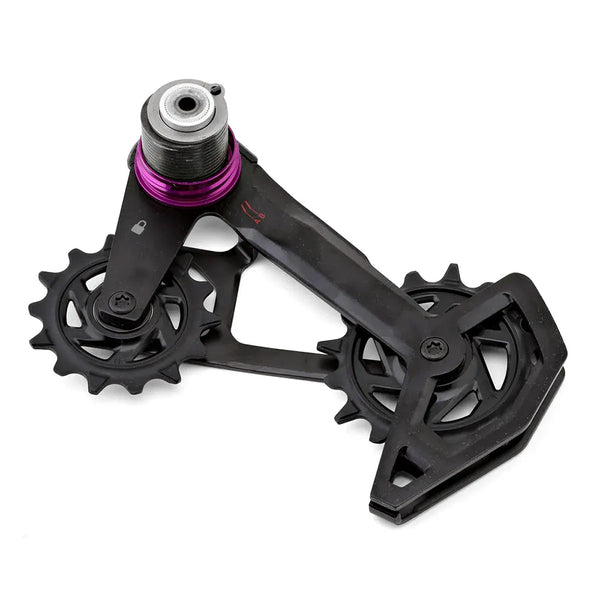 SRAM Rear Derailleur Cage Assy Kit GX T-Type Eagle AXS