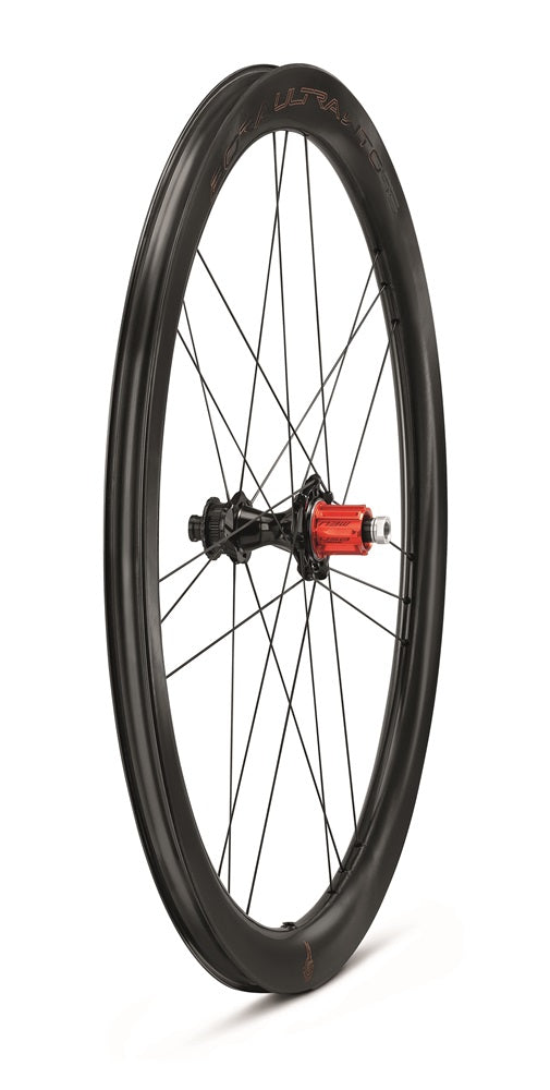BoraUltra-WTO-45-DB-2WF-C23-postTRE4-2024