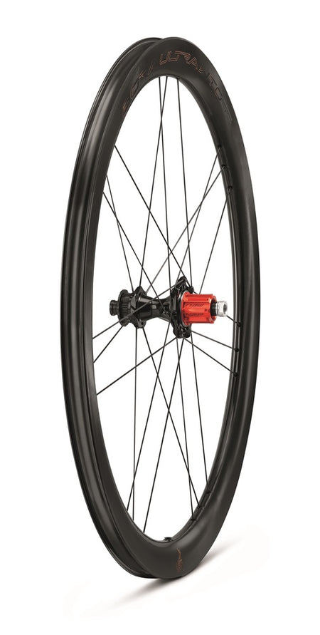 BoraUltra-WTO-45-DB-2WF-C23-postTRE4-2024