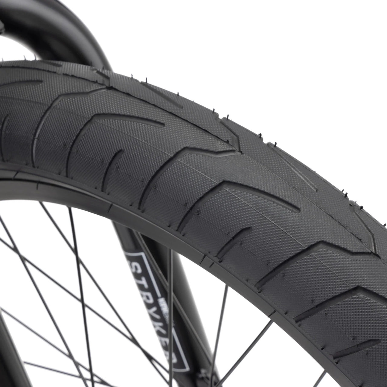 ALPINE TRAIL E1 LG - Papanui Cycles
