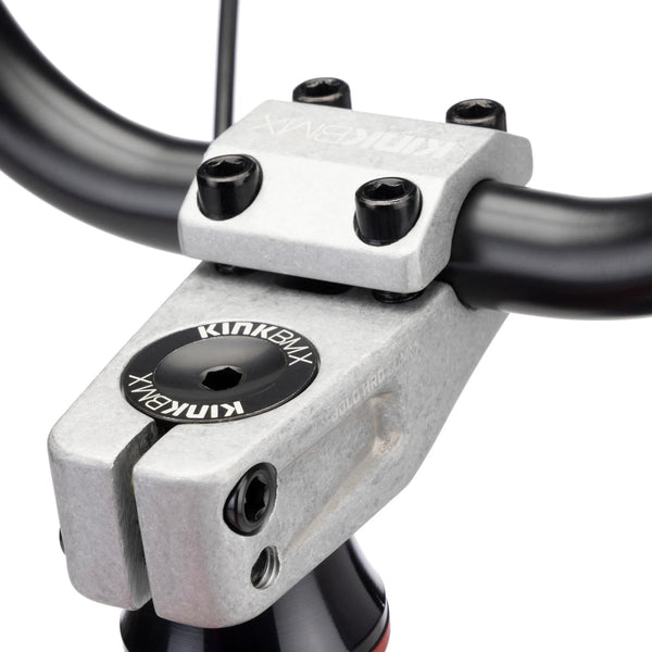 ALPINE TRAIL E1 LG - Papanui Cycles