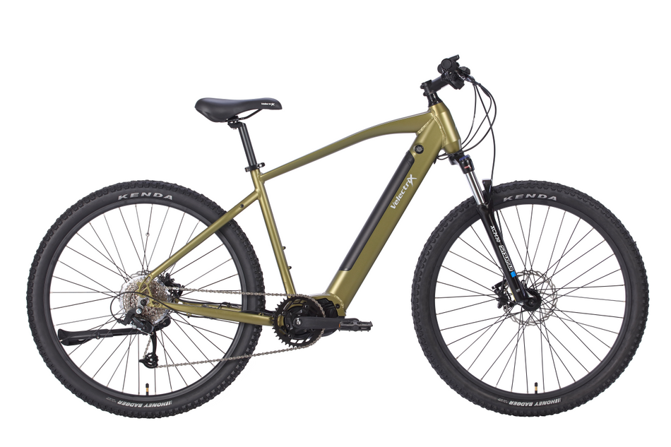 ASCENT PULSE 29" LG 50CM - Papanui Cycles