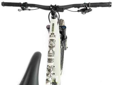 All Mountain Style - Skull Frame Guard - Papanui Cycles