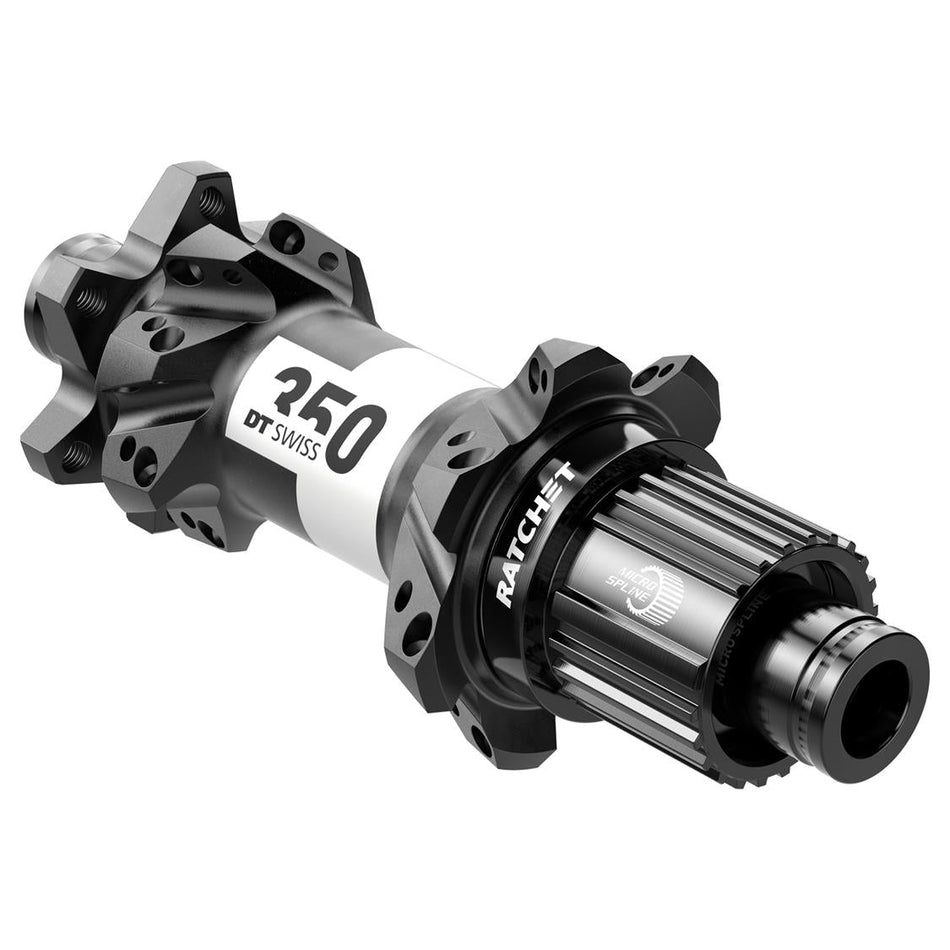 DT Swiss - 350 Rear Straightpull IS (6-Bolt) - Papanui Cycles