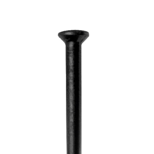 DT Swiss - Champion Straight Pull - Papanui Cycles
