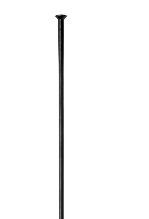 DT Swiss - Champion Straight Pull - Papanui Cycles