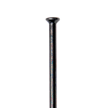 DT Swiss - Competition Straight Pull Black - Papanui Cycles