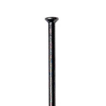 DT Swiss - Competition Straight Pull Black - Papanui Cycles