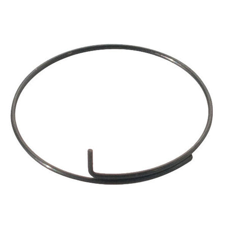 DT Swiss - Spring for Pawl Carrier - Papanui Cycles