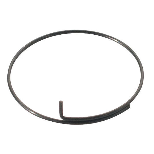 DT Swiss - Spring for Pawl Carrier - Papanui Cycles