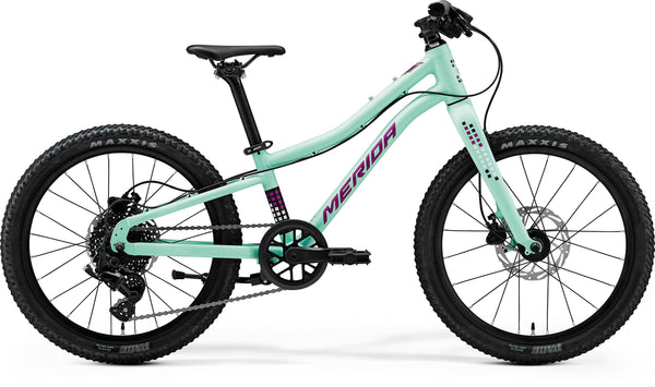 2026 MATTS J 20+