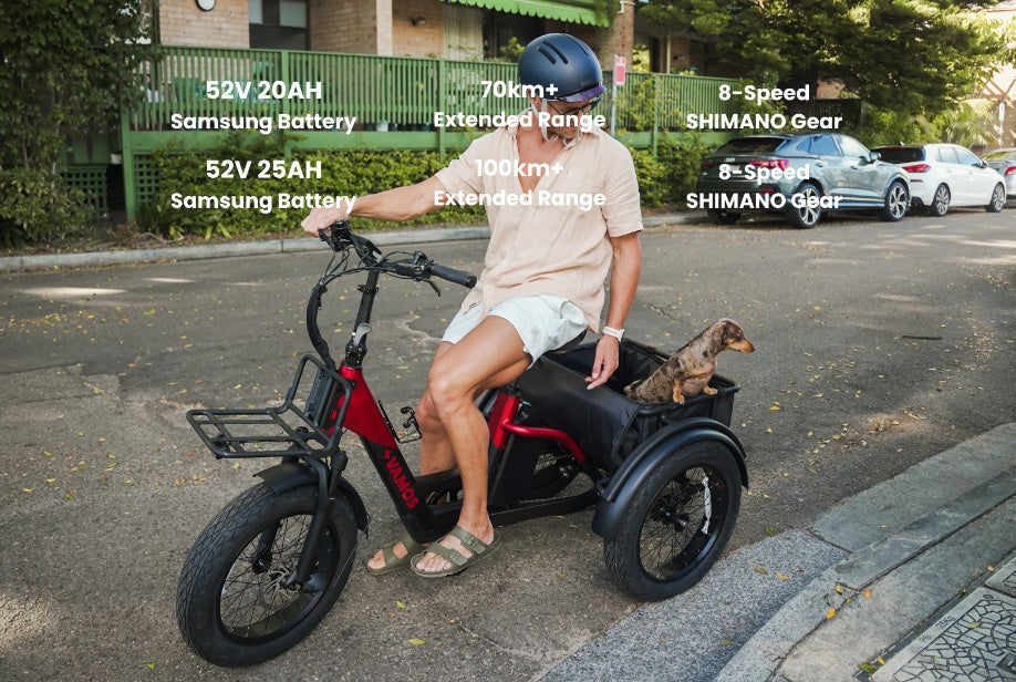 Vamos E Trike Papa Grande Pro
