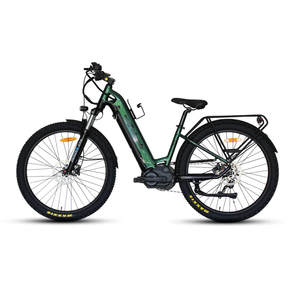 WATT WHEELS E-BIG HORN  LOW STEP  MID DRIVE (2023 )