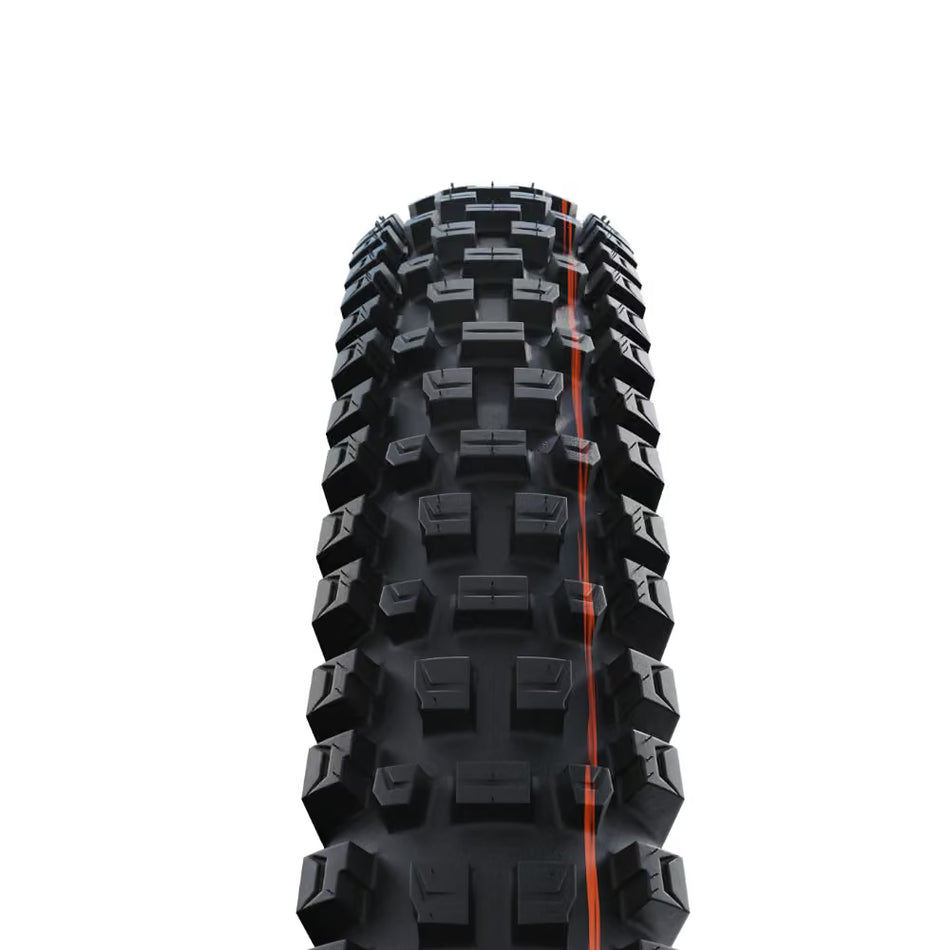 Schwalbe Albert Radial 29"