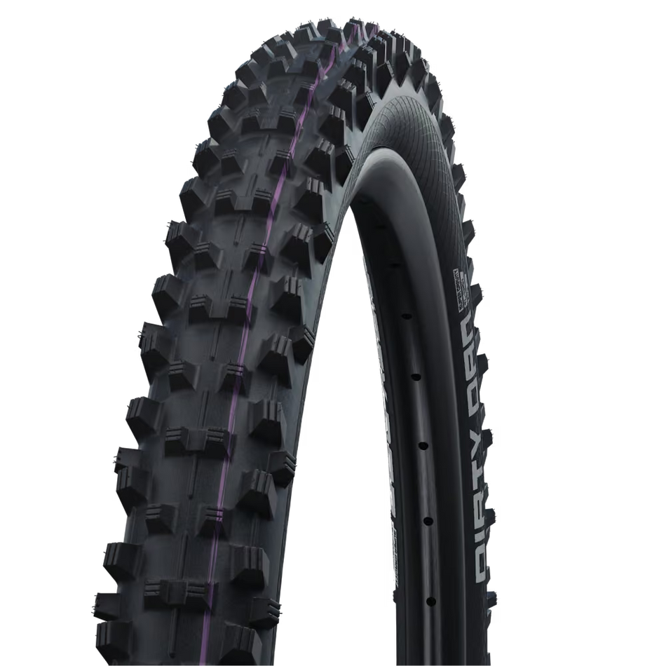 Schwalbe Dirty Dan 29"