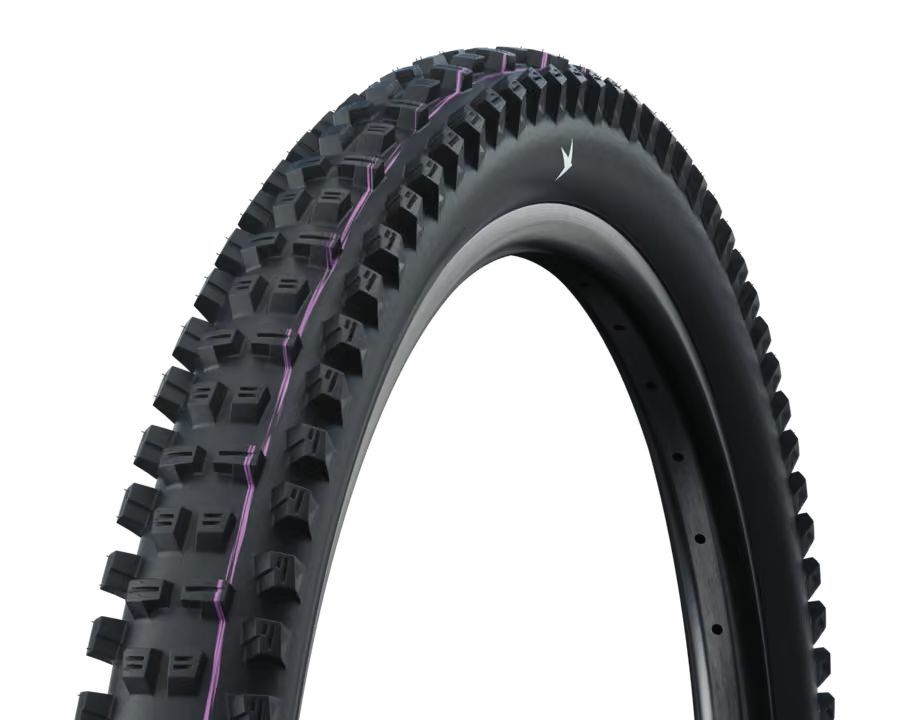 Schwalbe Tacky Chan Radial 29"