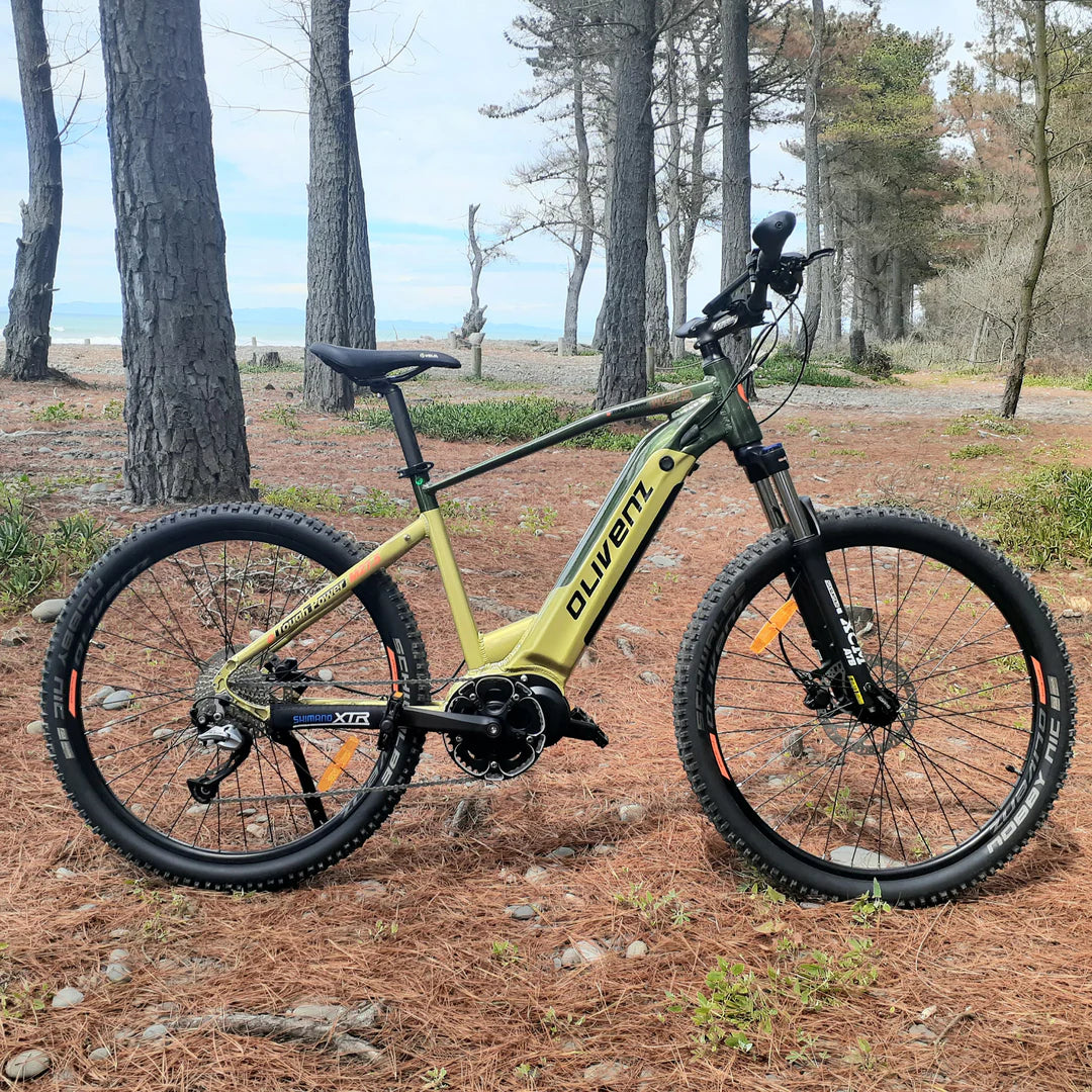 2024 OLIVENZ TRAIL BLAZER