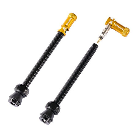 2021_Juicy Nipple_GOLD_80mm