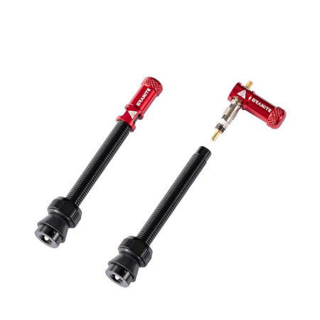 2021_Juicy Nipple_BK_60mm